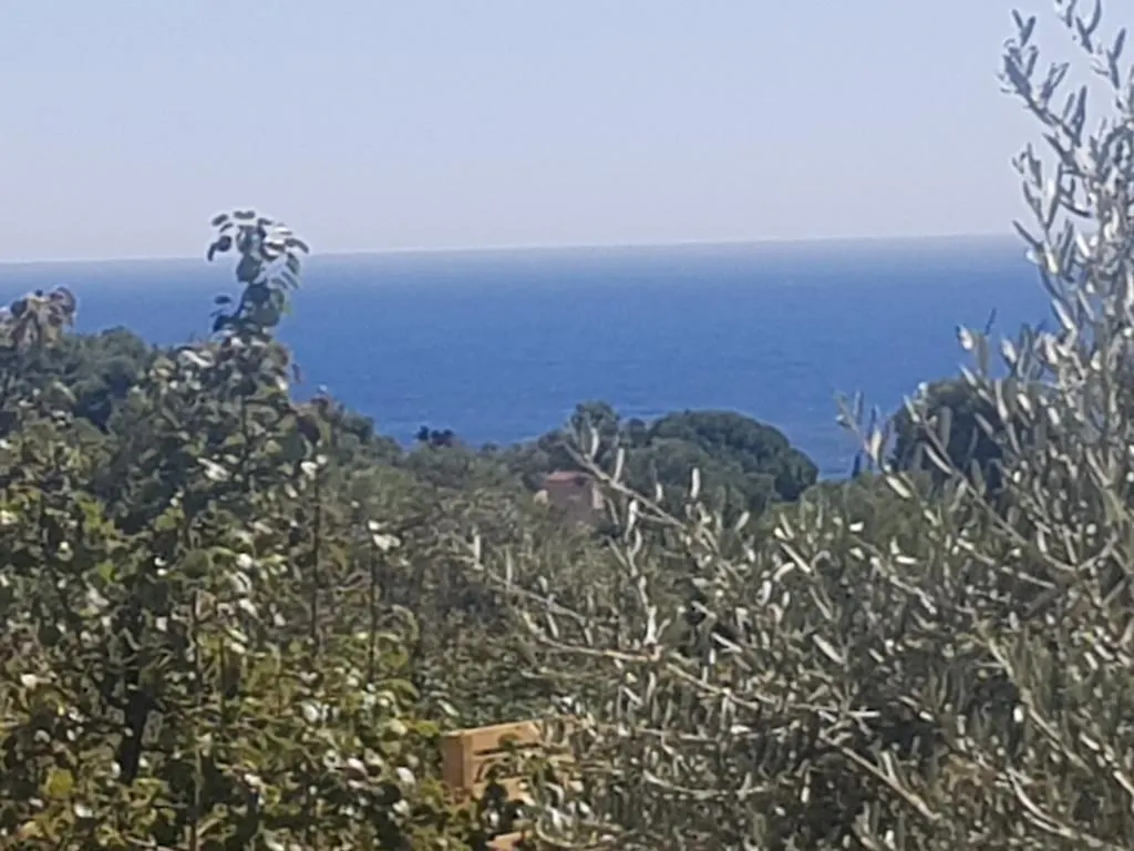 Hostal Ondina Begur 2*,